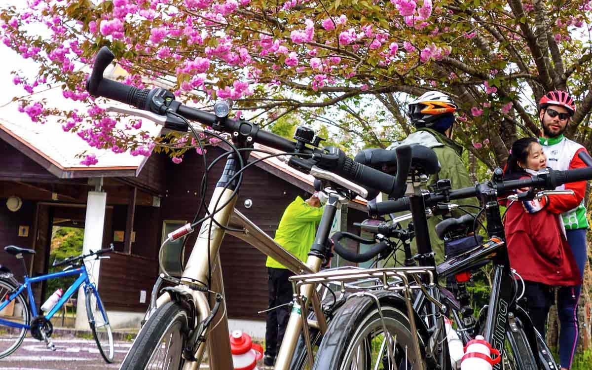 Kyushu bikes by cherry blossoms