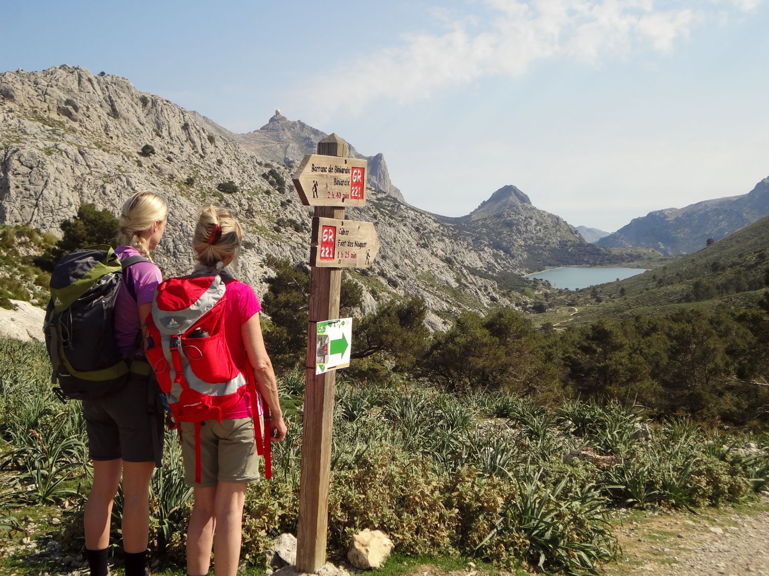 Mallorca Finca - Cuber Reservoir