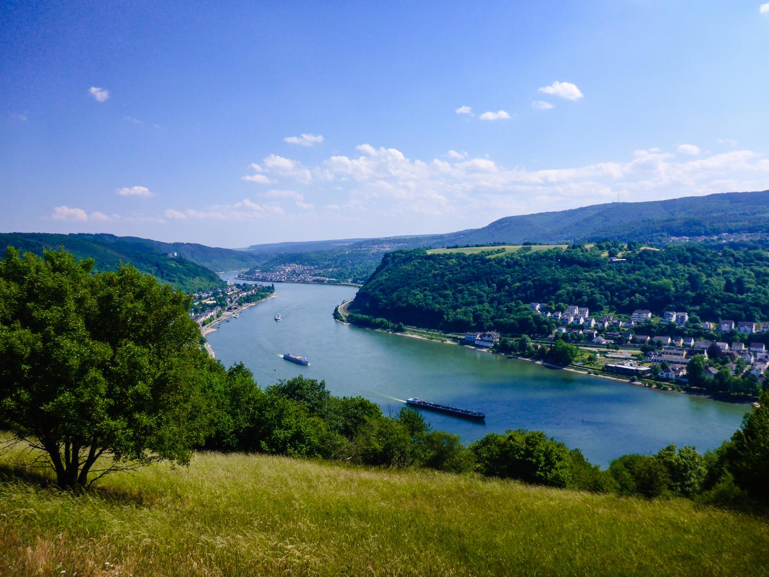 The Rhine Valley Walking Tour  Freedom Treks
