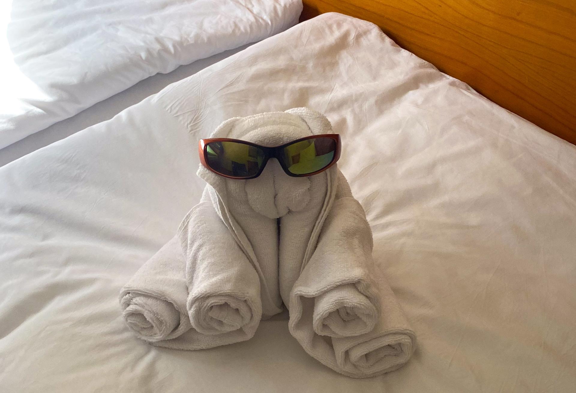 Towel Animal on the MS Prinzessin Katharina Towel Animal on the MS Prinzessin Katharina