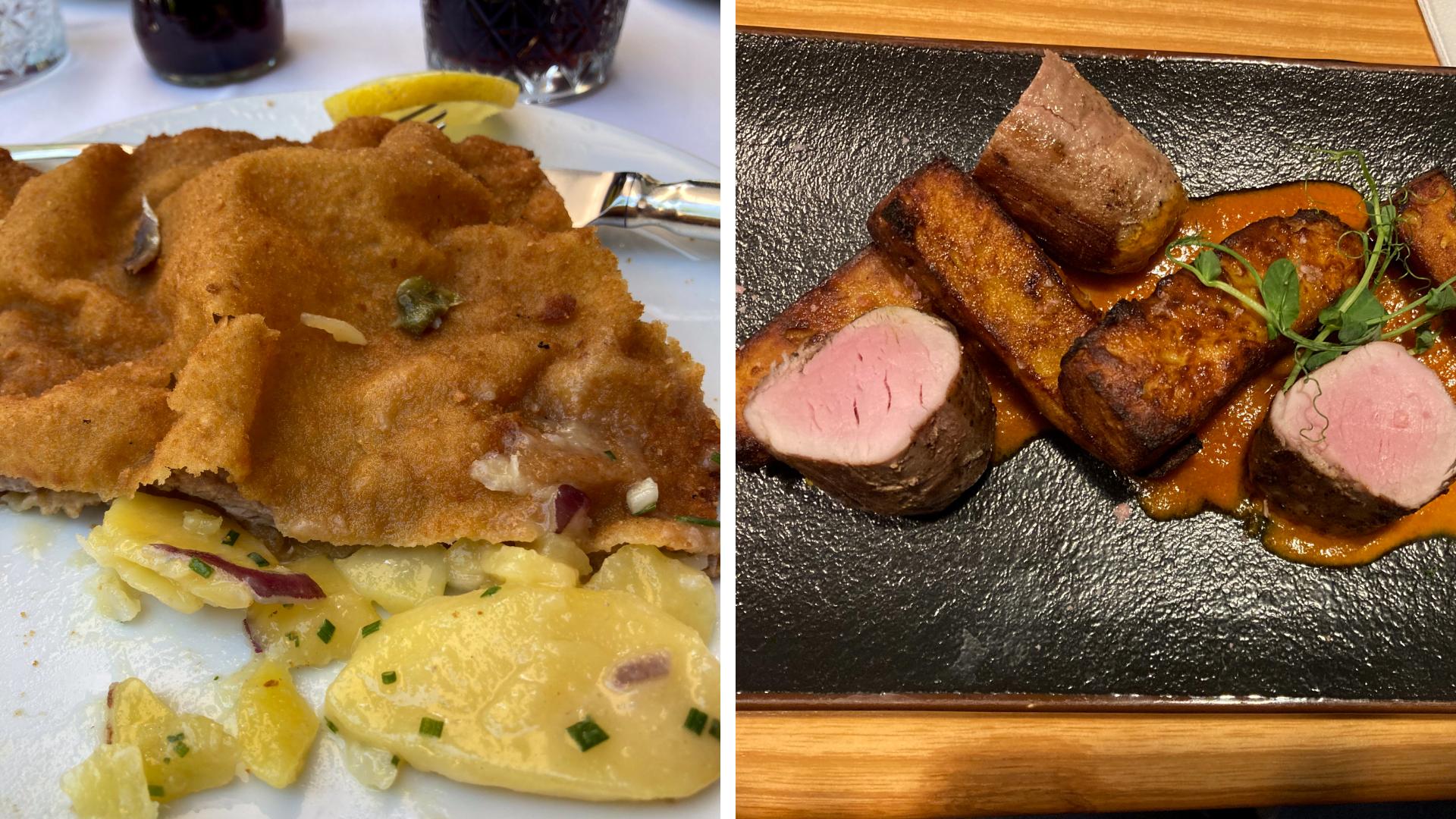 Danube 4 Countries Local Dishes - Duck & Schnitzel Danube 4 Countries Local Dishes - Duck & Schnitzel
