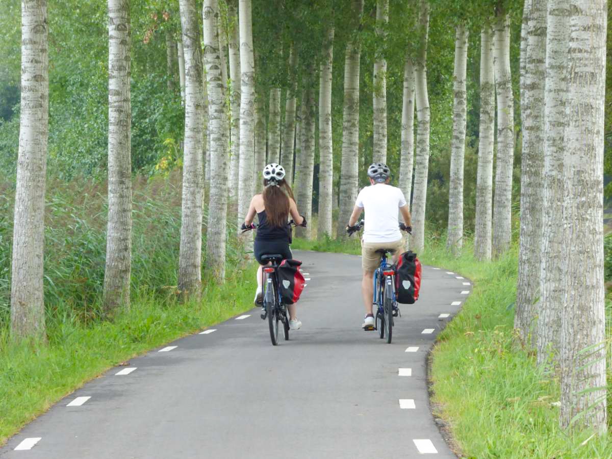 Freedom Trekker Rita enjoying the flat, well-maintained cycle paths on our Green Heart of Holland Bike Tour Freedom Trekker Rita enjoying the flat, well-maintained cycle paths on our Green Heart of Holland Bike Tour