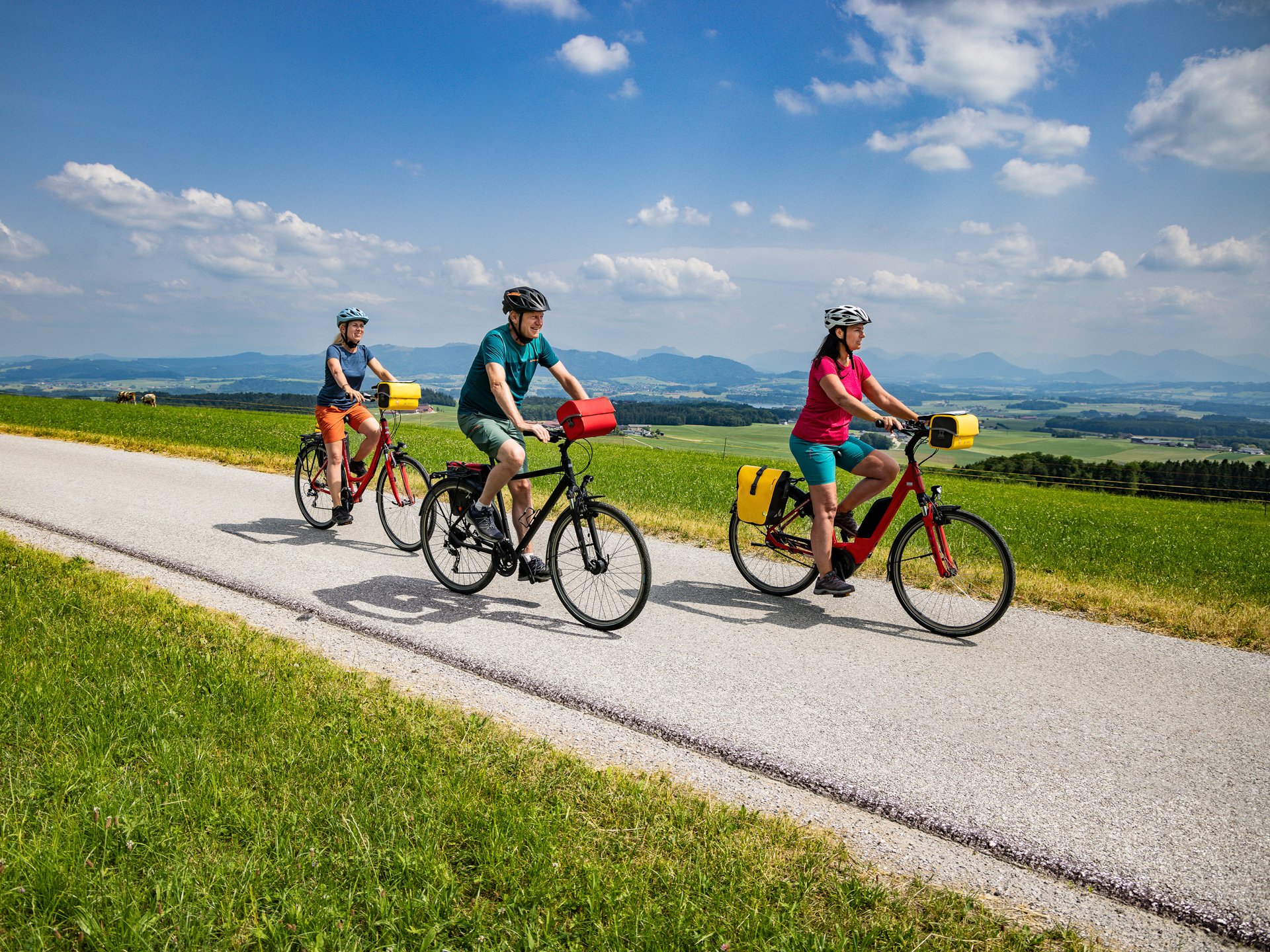 Alpe Adria Cycle Path in the Countryside