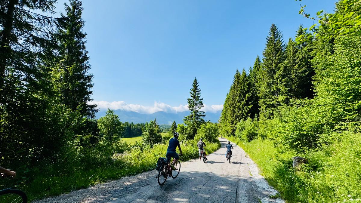 Jit Patel - Lake Bled to Ljubljana Bike Tour, June 2025