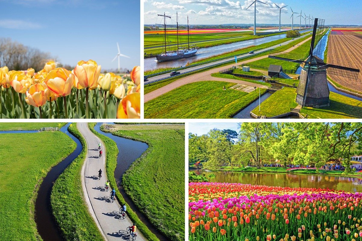 If you April and March, you'll have a higher chance of spotting the Netherlands' famous tulip fields if you on our Spring Flowers in Holland Boat & Bike Tour If you April and March, you'll have a higher chance of spotting the Netherlands' famous tulip fields if you on our Spring Flowers in Holland Boat & Bike Tour