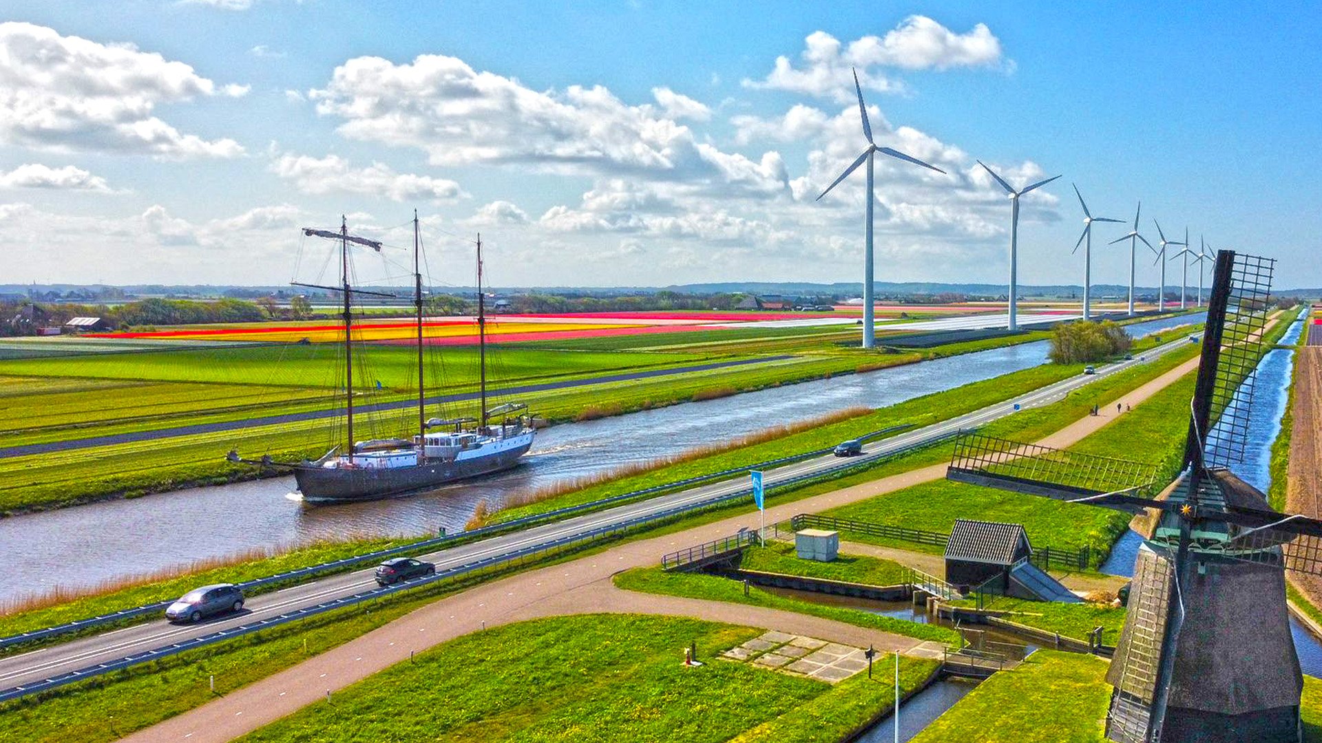 Leafde fan Fryslân sailing through tulip fields in North Holland Leafde fan Fryslân sailing through tulip fields in North Holland