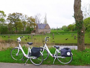 Bikes in Belgium