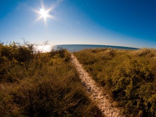 Dunes at Falster, Denmark