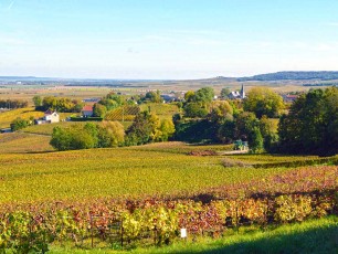 FR021 - Champagne Trail - Epernay Vineyards