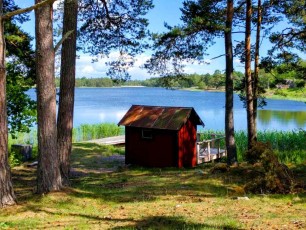 Sweden forest by lake - Sweden photo blog