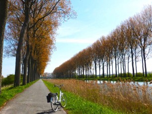 Belgian cycle path with bike