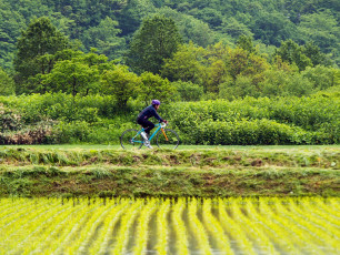 Cycle ride in Niseko - Credit Yasuyuki Shimanuki