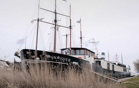 Magnifique III Magnifique III