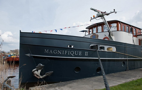 Magnifique II Magnifique II