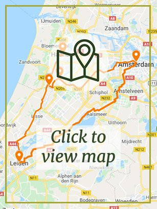 Tulips, Windmills and Historic Cities Tulips, Windmills and Historic Cities