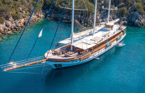 The Admiral The Admiral